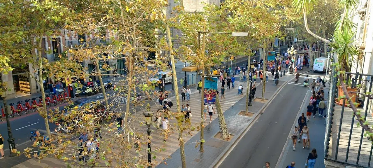 Ella Hostel Boqueria Barcelona Španělsko